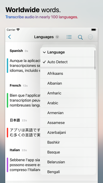 Transcriptionist Screenshot