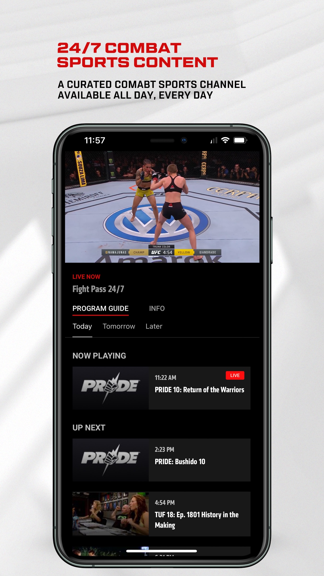 UFC screenshot 3