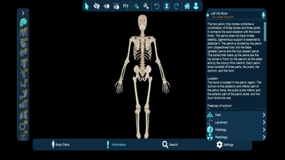 Vesalii Anatomy Student Screenshot