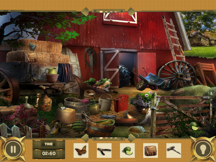 The Hidden Evidences  Puzzle