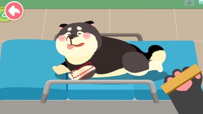 Baby Panda's Pet Care Center Screenshot