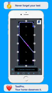 fei para dressage problems & solutions and troubleshooting guide - 4