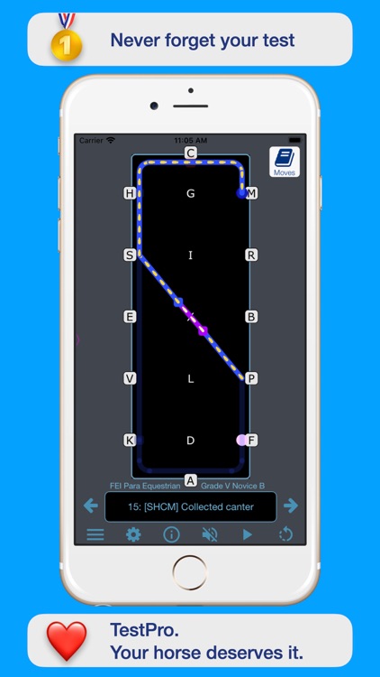 FEI Para Dressage screenshot-9