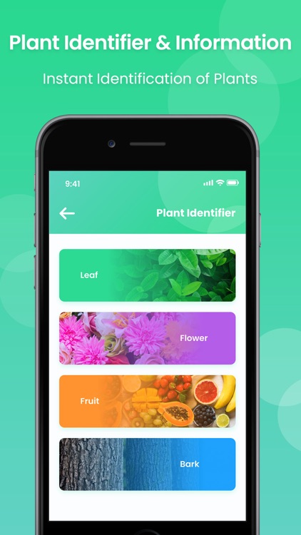 Plant Identifier & Information