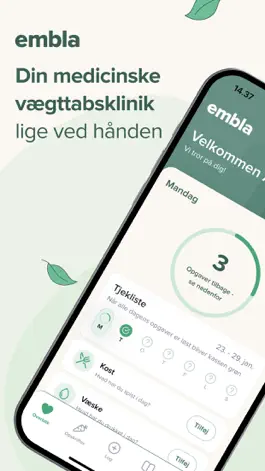 Game screenshot Embla mod apk