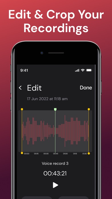 Call Recorder: Recording calls Screenshot