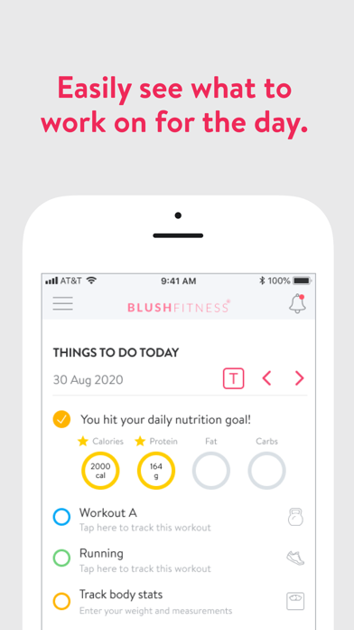 BLUSH FITNESS Virtual Screenshot