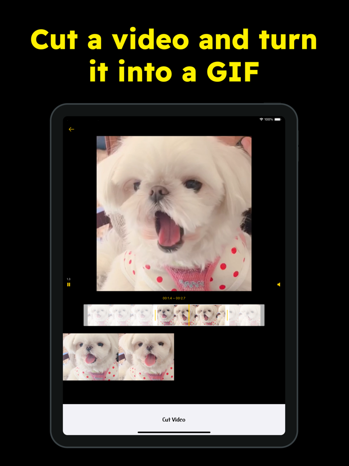 Simple GIF - GIF Maker