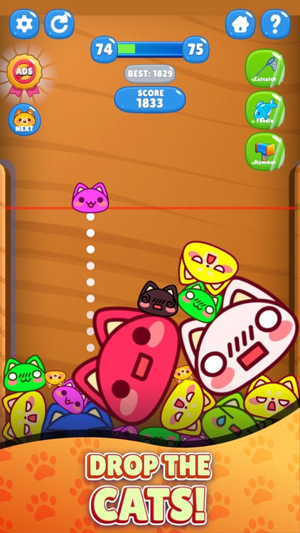 No Wifi Game - Jello Cats screenshot-3