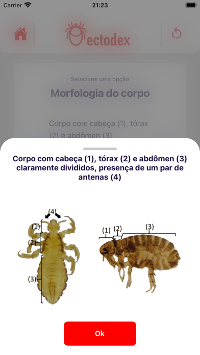 VetorDex Screenshot