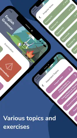 Game screenshot English Grammar Exams apk