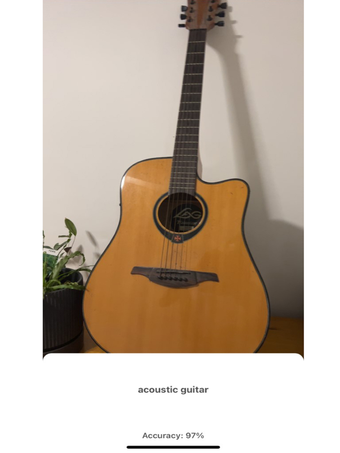 Recognizer AI Object Detector