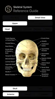 How to cancel & delete human skeleton reference guide 4