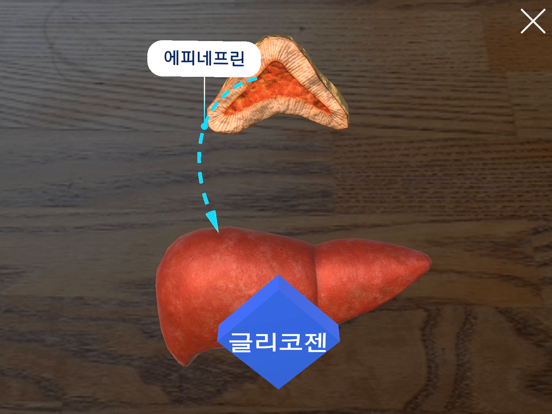 AR 항상성 실험실のおすすめ画像7