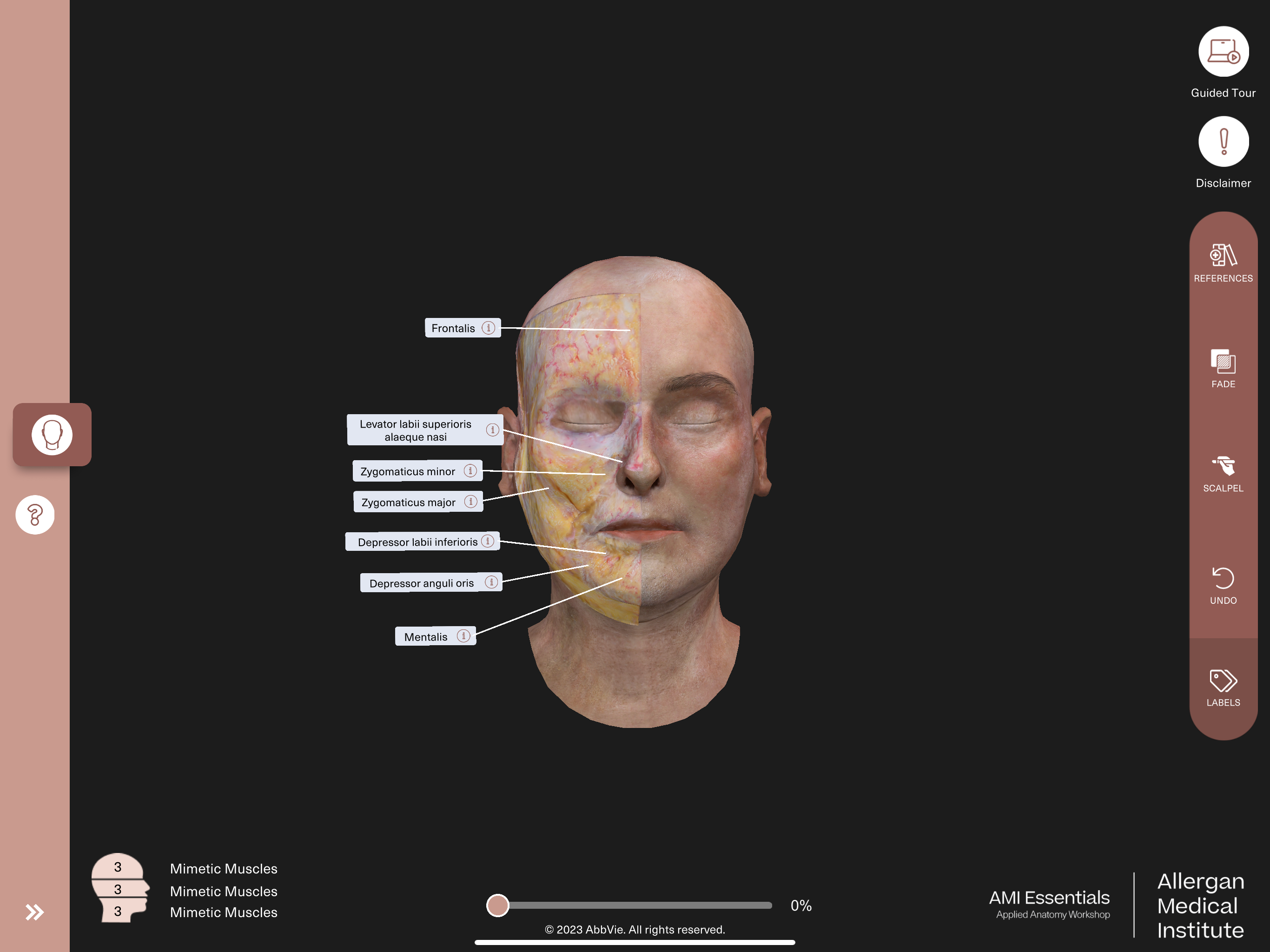 AMI Essentials: 3D Anatomy ND screenshot 16