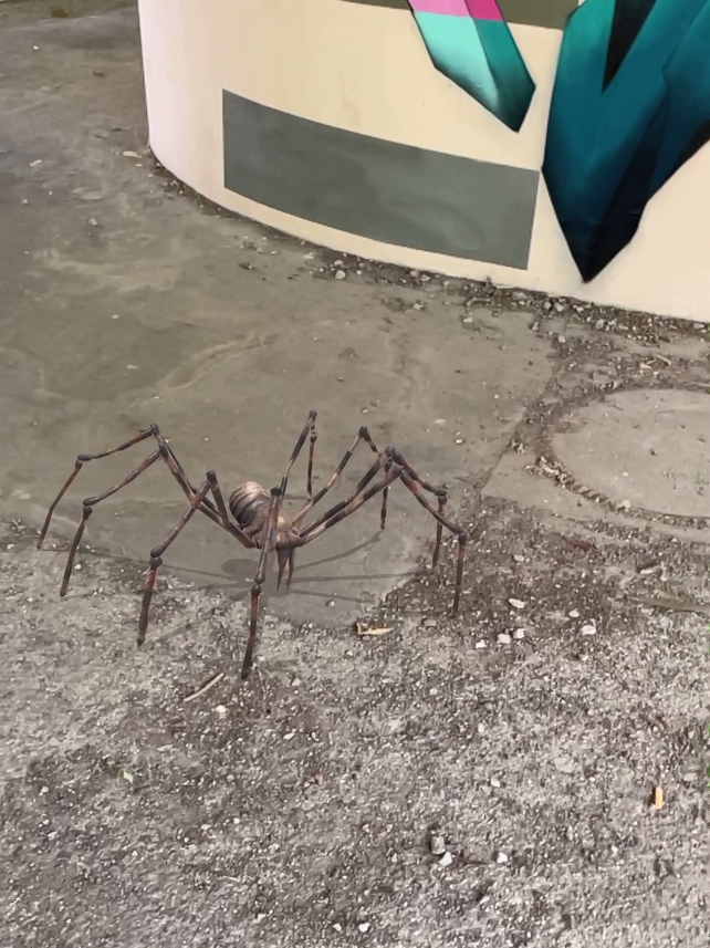 AR Spiders Screenshot