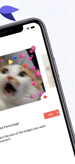 Game screenshot The Image Converter: ImageIT hack