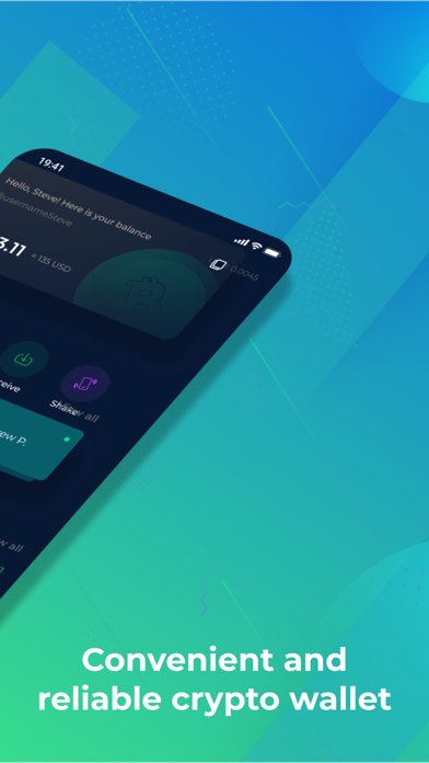 BTCa wallet Screenshot