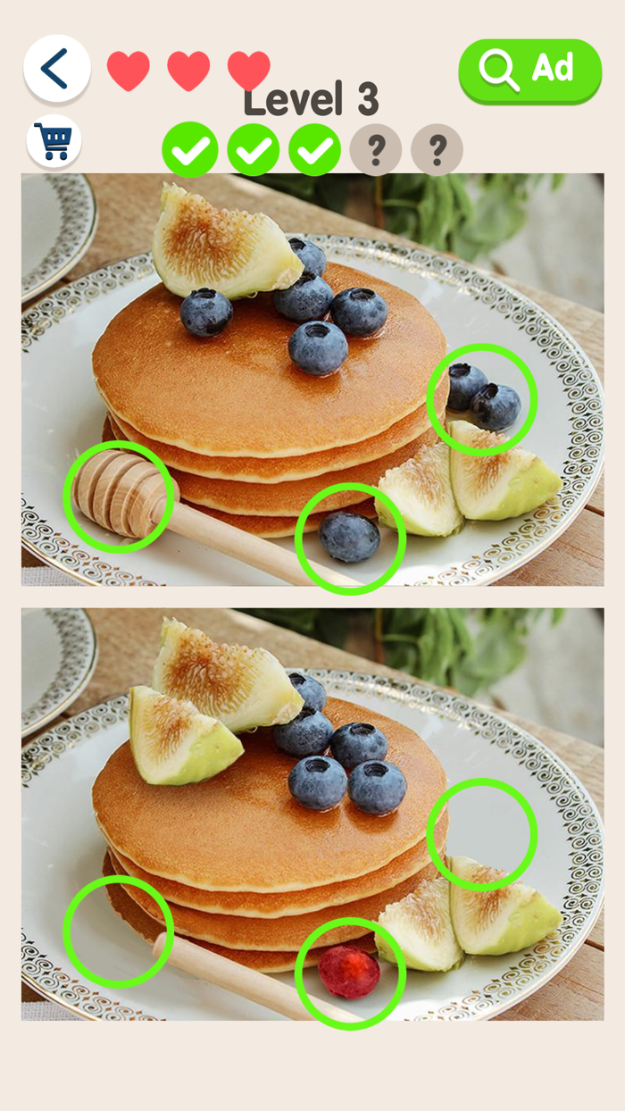 Find Different Picture Puzzle