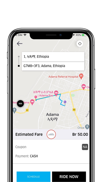 Zebra Taxi Traveler Screenshot