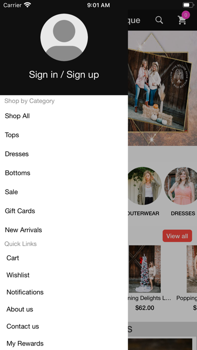 Pink Willow Boutique Screenshot