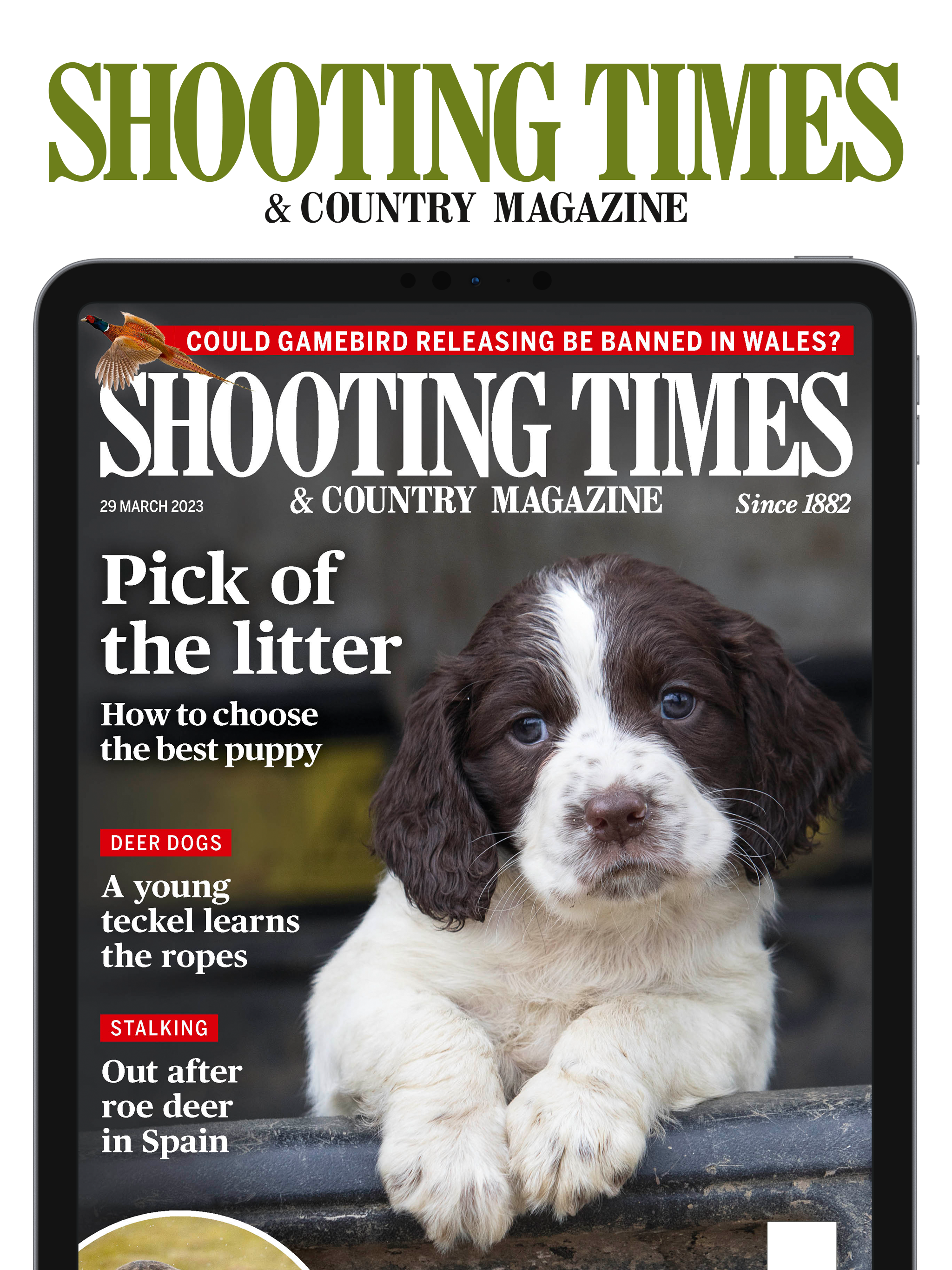 Shooting Times & Country screenshot 13