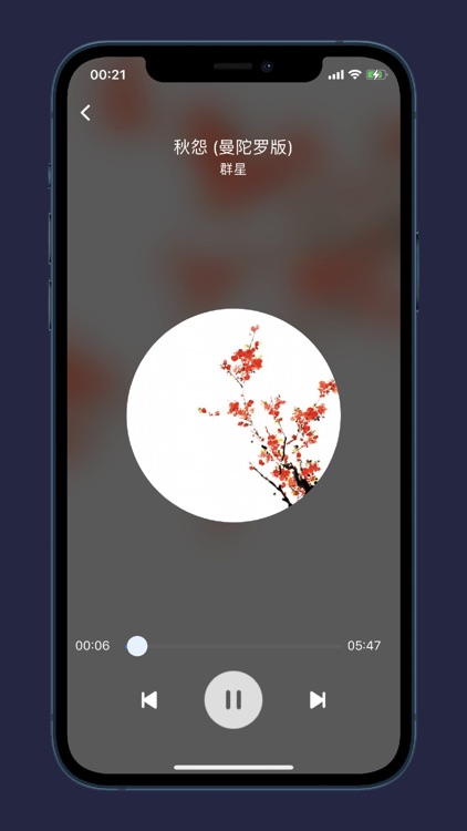 XN Player - Audio FileDocument