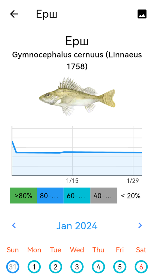 #4. Fish Planet Calendar (iOS) 由: Web and Print