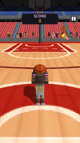 Game screenshot Pixel Basketball 3D hack