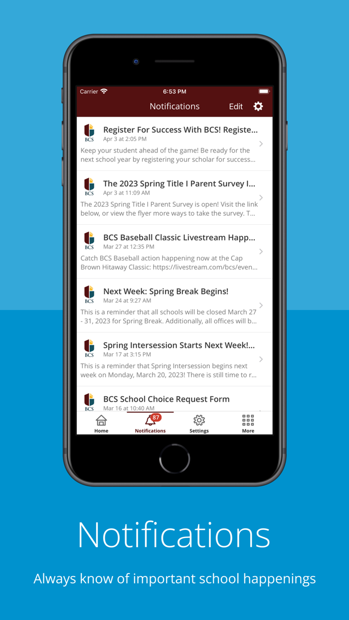 Birmingham City Schools