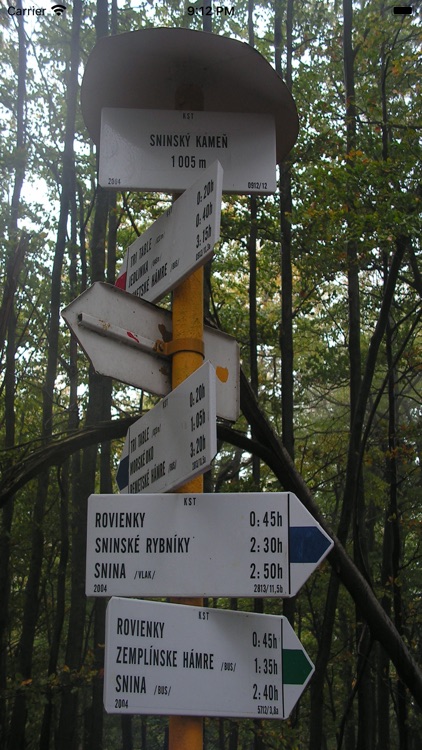 Karpatské Úzkokoľajky screenshot-4