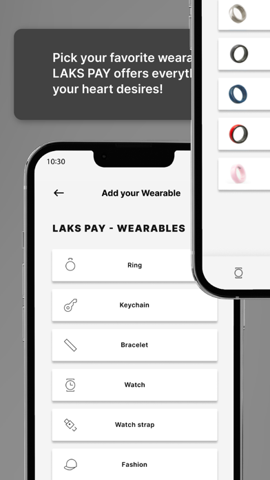 LAKS Pay Screenshot