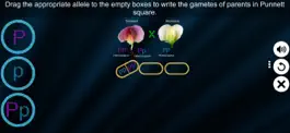 Game screenshot Test Cross: pea flower hack