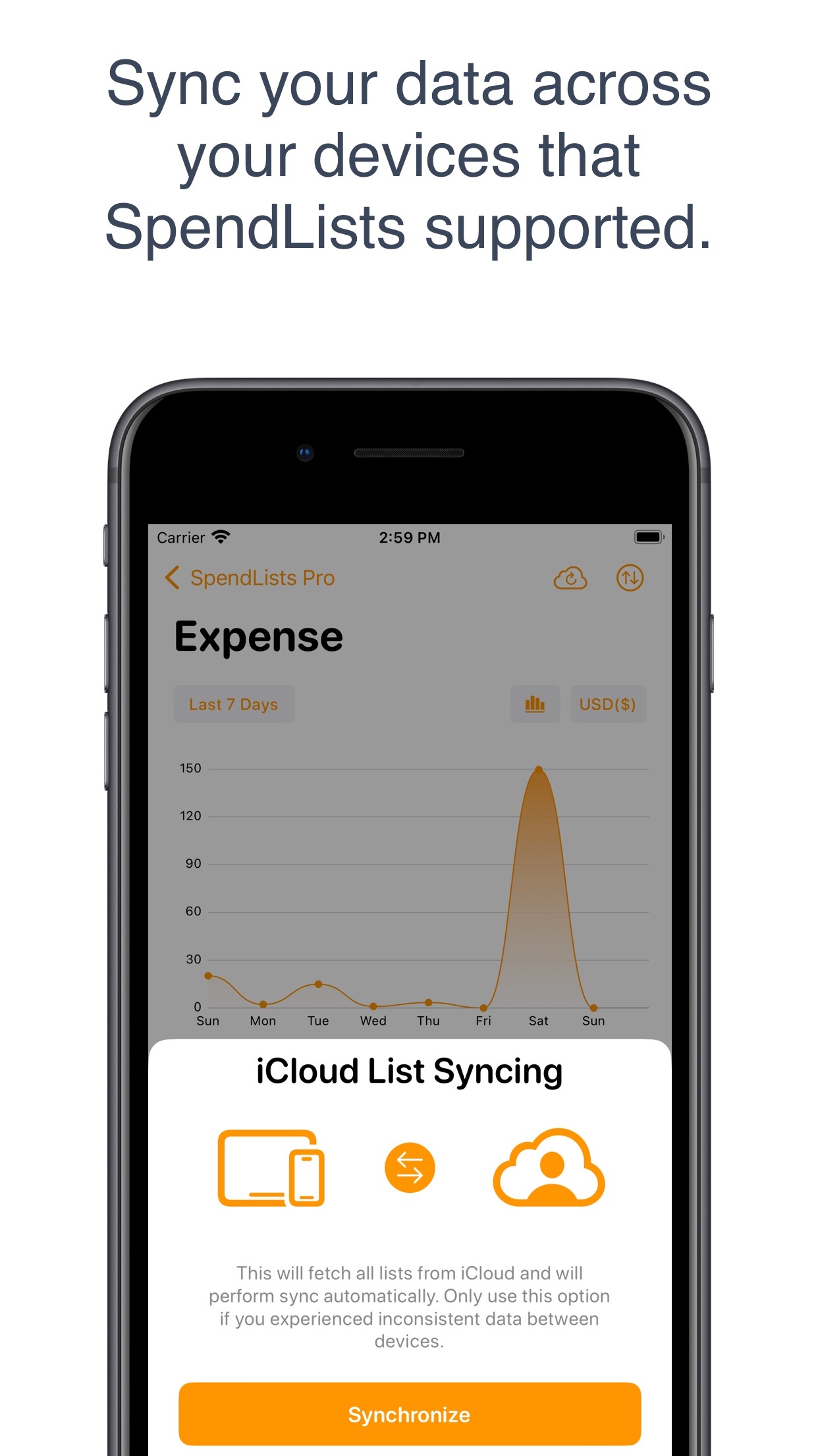 Screenshot do app SpendLists - Budget Tracker