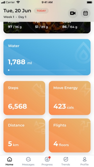 Afterburn Performance+ Screenshot