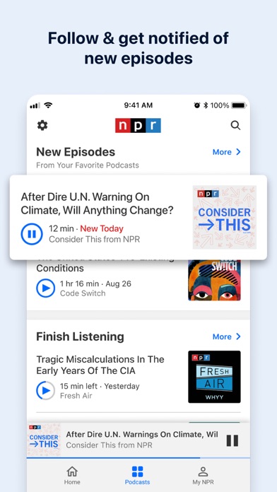 NPR Screenshot
