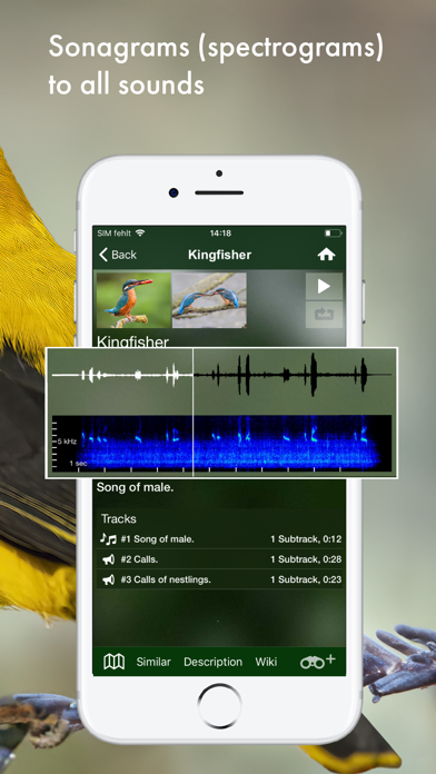 BIRD SONGS Europe North Africa Screenshot