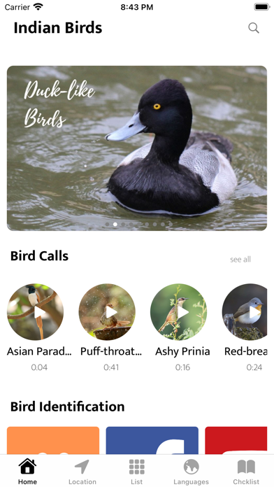Indian Birds Screenshot