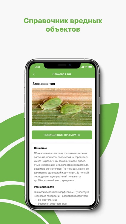 Группа компаний «Шанс» screenshot-5