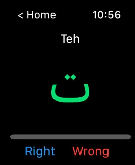 Game screenshot Learn Arabic Letters on Watch apk