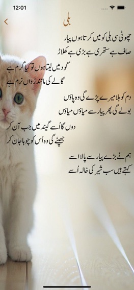 Urdu Rhymes Poemのおすすめ画像7