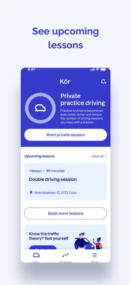 Game screenshot Kör - Get your Drivers License hack