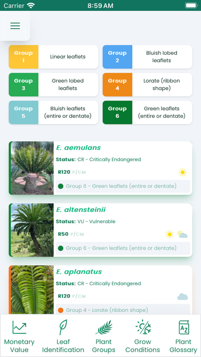 Cycad Identification of SA Screenshot