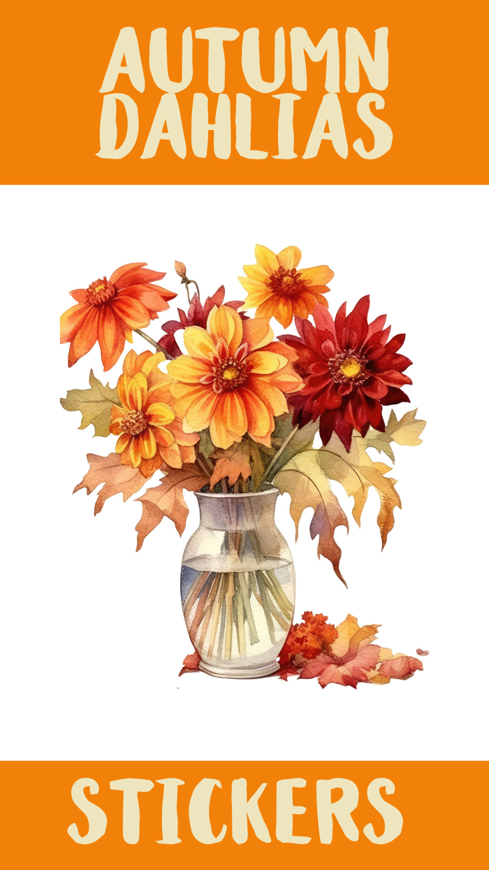 Autumn Dahlias