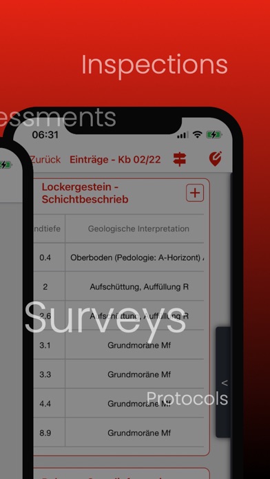 FeldAppX Screenshot