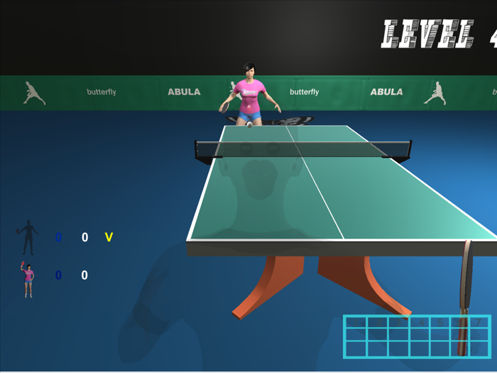 Table Tennis Kingdom