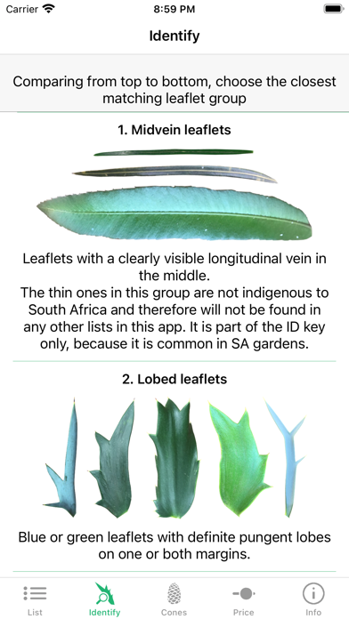 SA Cycads Screenshot
