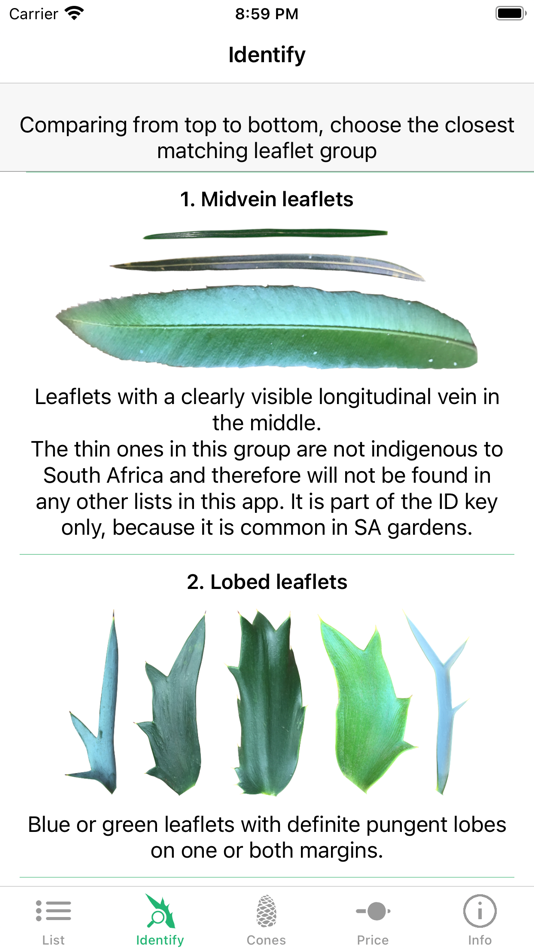 #5. SA Cycads (iOS) 由: Elardus Erasmus