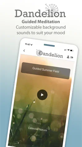 Game screenshot Dandelion Meditation Wellbeing hack