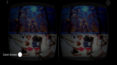 Screenshot #2 pour VRPlayerX